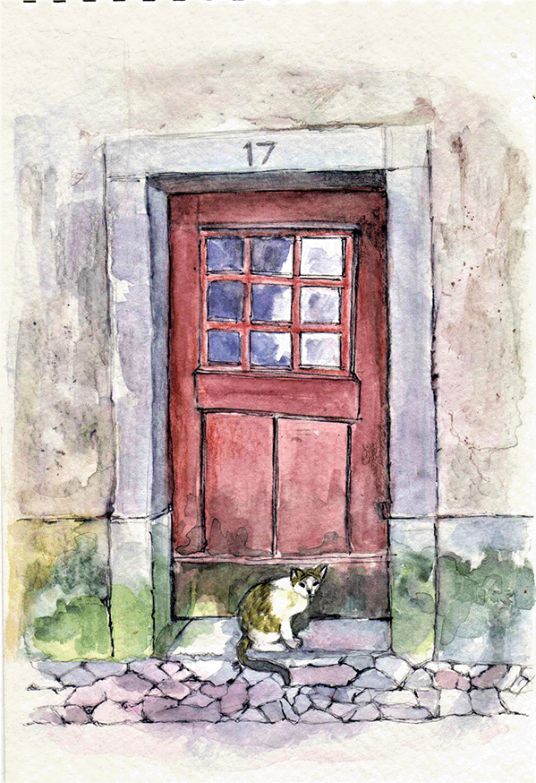 A Cat in Lisbon